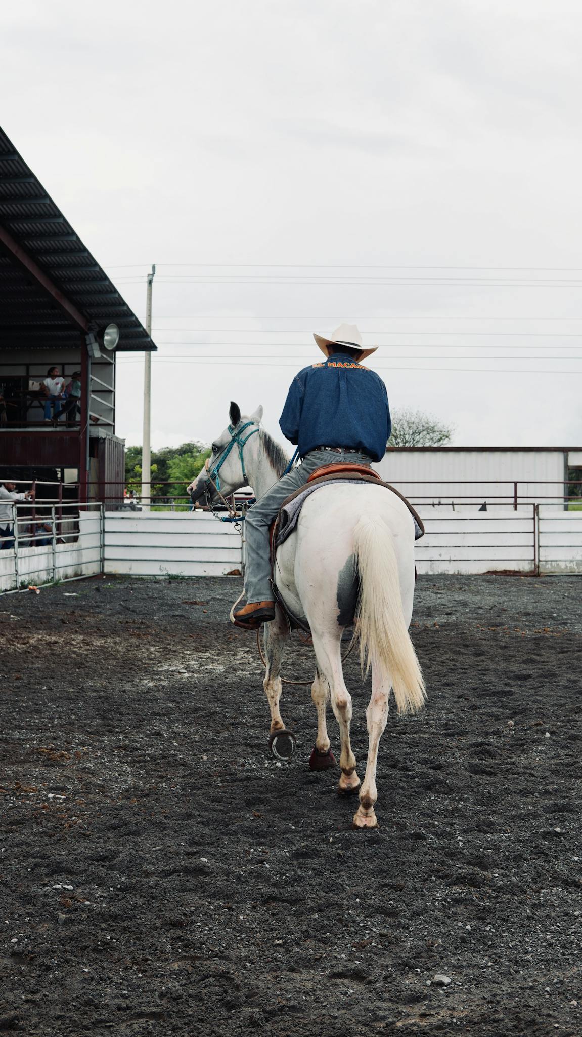 A cowboy riding a white horse in an outdoor arena, showcasing equestrian culture and rodeo lifestyle.
