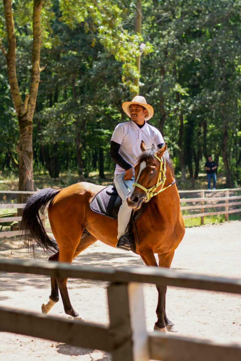 A man wearing a hat rides a horse in a sunny summer paddock surrounded by trees.