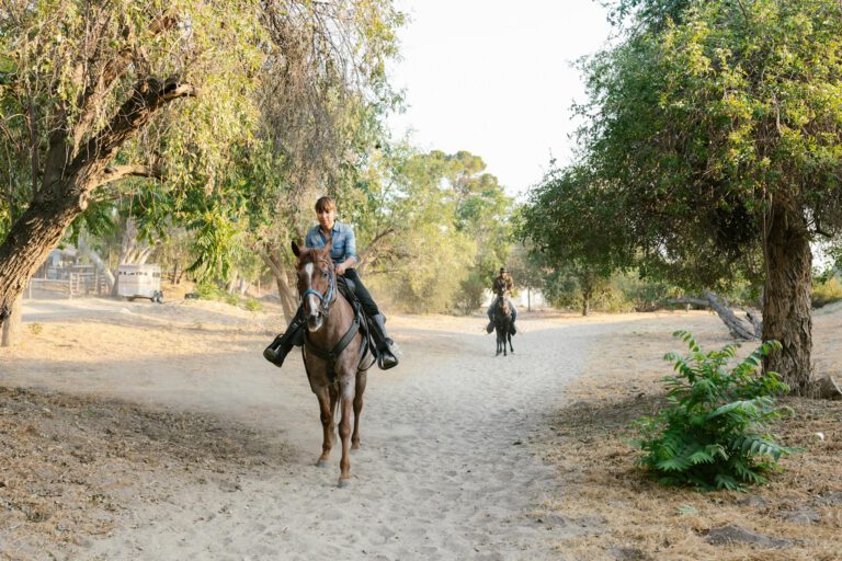 Two riders on horseback enjoying a sunny trail ride on a rural ranch surrounded by trees.