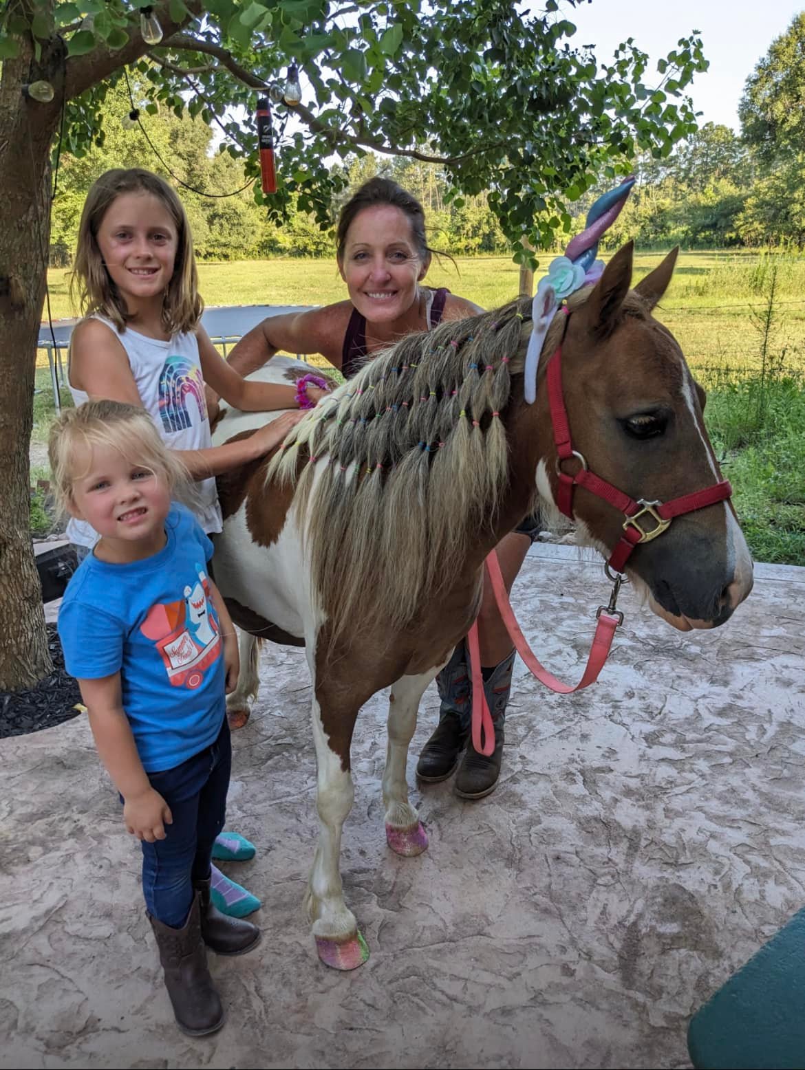 Horse care lesson at Cherokee Outlaw Ranch